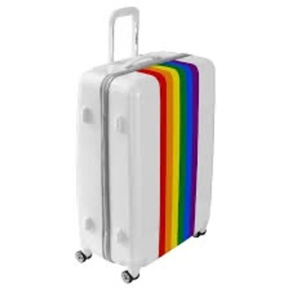 NEW Samsonite‎ Printed Luggage Cover Medium Fit 24 26 Inch Rainbow Stripes